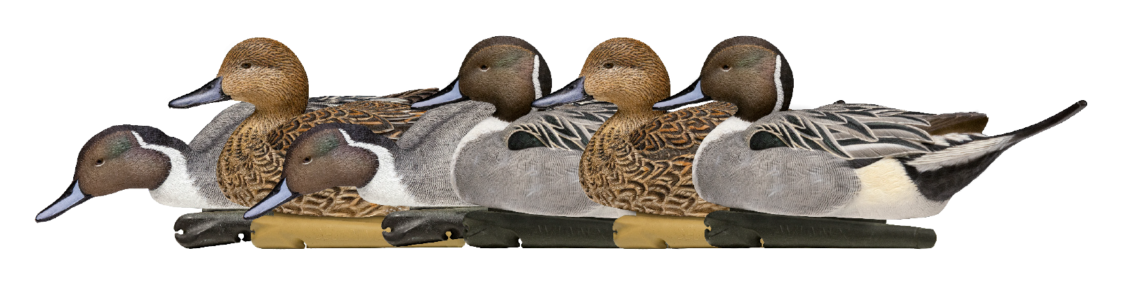 AvianX Topflight Pintail Duck Decoys Bass Pro Shops